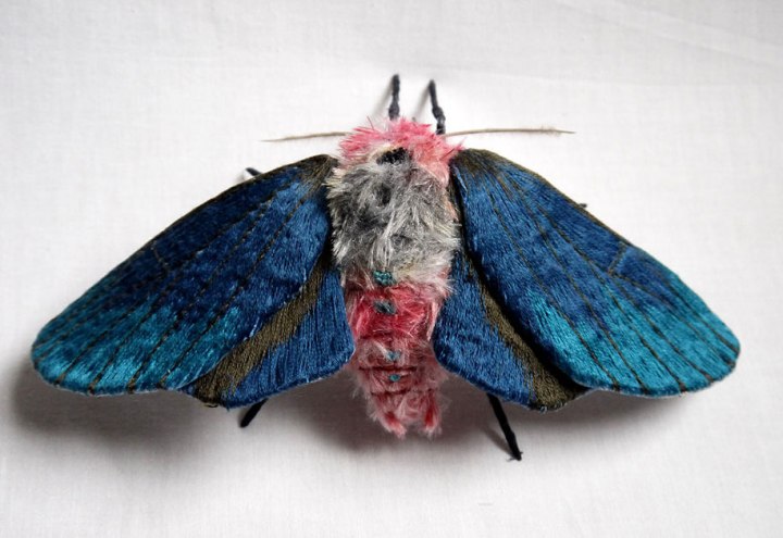textile-art-fabric-sculptures-insects-moths-butterflies-yumi-okita-19